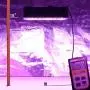 Plant Grow Light, VIPARSPECTRA Newest Dimmable 600W LED Grow Light, with Daisy Chain, Dual Chips Full Spectrum LED Grow Lamp for Hydroponic Indoor Plants Veg and Flower(10W LEDs 60Pcs) Plant Grow Light, VIPARSPECTRA Newest Dimmable 600W LED Grow Light, with Daisy Chain, Dual Chips Full Spectrum LED Grow Lamp for Hydroponic Indoor Plants Veg and Flower(10W LEDs 60Pcs)