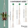 Encore Essentials 3-Pack Macrame Plant Hangers Indoor (37”,43'' & 49”), Ivory Cotton Hanging Planter Basket with Decorative Wood Beads & 2 Hooks-Hanging Flower Pot Holder-Boho Plant Hanger w/Tassel