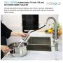 FORIOUS Kitchen Faucet with Pull Down Sprayer Brushed Nickel, High Arc Single Handle Kitchen Sink Faucet with Deck Plate, Commercial Modern rv Stainless Steel Kitchen Faucets, Grifos De Cocina