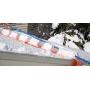 Snow Roof Rake by Avalanche! Original 750 with Slide Material: Easy Snow Removal for Metal, Cedar Shake, Tile, Architectural Shingled Roofs and Solar Panels. 17 Inch Wide, 16 Feet Long, 3 Inch Wheels