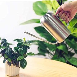 IMEEA 45oz/1.3L Watering Can for Indoor House Plants Long Spout Brushed Stainless Steel Watering Pot (Silver)