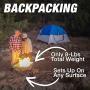 Pop-Up Fire Pit | Portable and Lightweight | Fullsize 24 Inch | Weight 8 lbs. | Never Rust Fire Pit | Included Heat Shield for Leave No Trace Fires (Pop-Up Fire Pit + Heat Shield)