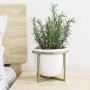 Ceramic Flower Plant Pot with Stand - 6.7 Inch White Indoor Planter Pot with Gold Metal Stand for Herbs Orchids Cacti Succulents