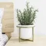 Ceramic Flower Plant Pot with Stand - 6.7 Inch White Indoor Planter Pot with Gold Metal Stand for Herbs Orchids Cacti Succulents