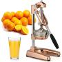 Zulay Professional Citrus Juicer - Premium Manual Citrus Press and Orange Squeezer - Metal Lemon Squeezer - Extra Tall Heavy Duty Manual Orange Juicer and Lime Squeezer Press Stand - Rose Gold