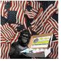 Hydrographic Film Dip Ape Metallic American Flag Garrison USA Hydro Graphics Water Transfer Hydro Dip Dipping Kit