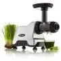 Omega Compact Slow Speed Multi-Purpose Nutrition System Juicer with Quiet Motor Creates Continuous Fresh Healthy Fruit and Vegetable Juice at 80 RPM, 200-Watt, Silver Omega Compact Slow Speed Multi-Purpose Nutrition System Juicer with Quiet Motor Creates Continuous Fresh Healthy Fruit and Vegetable Juice at 80 RPM, 200-Watt, Silver
