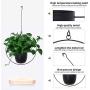 Metal Hanging Planters, Boho Modern Plant Hanger Minimalist Home Decor, Mid Century Flower Pot Plant Holder (Oval-Pack of 1) Metal Hanging Planters, Boho Modern Plant Hanger Minimalist Home Decor, Mid Century Flower Pot Plant Holder (Oval-Pack of 1)
