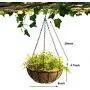 Hanging Planter Flower Basket Metal with Coco Coir Liner 2 Pack 8 Inch Round Wire Plant Growers Holder Flower Hanging Baskets, Indoor Outdoor Décor for Home Garden Patio