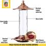 More Birds Glory Hummingbird Feeder, Glass Bottle, 5 Feeding Ports and 14-Ounce Nectar Capacity