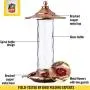 More Birds Glory Hummingbird Feeder, Glass Bottle, 5 Feeding Ports and 14-Ounce Nectar Capacity