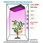 SUNRAISE 2000W LED Grow Light Full Spectrum Triple-Chips LED Lens Tech Veg and Bloom Two Switches LED Grow Lamp for Indoor Plants with Daisy Chain (15watt led 200pcs)