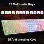 LANGTU Membrane Gaming Keyboard, Rainbow LED Backlit Quiet Keyboard for Office, USB Wired All-Metal Panel 25 Keys Anti-ghosting Computer Keyboard 104 Keys - L1 White/Silver LANGTU Membrane Gaming Keyboard, Rainbow LED Backlit Quiet Keyboard for Office, USB Wired All-Metal Panel 25 Keys Anti-ghosting Computer Keyboard 104 Keys - L1 White/Silver