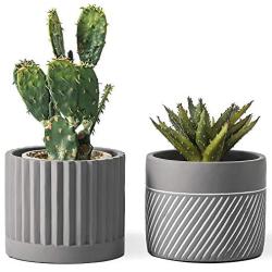 DOMDO Cement Planter Flowerpot - 5.5 Inches Bonsai Containers Unglazed Medium Concrete Planters for Home Indoor Decor with Drain Hole - Gray, Set of 2