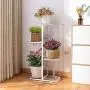Metal 4 Tier 5 Potted Plant Stand Multiple Flower Pot Holder Shelves Planter Rack Storage Organizer Display for Indoor Garden Balcony, Overall Size: 33×17.5 Inch Metal 4 Tier 5 Potted Plant Stand Multiple Flower Pot Holder Shelves Planter Rack Storage Organizer Display for Indoor Garden Balcony, Overall Size: 33×17.5 Inch