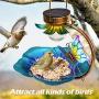 Birdream Solar Bird Feeder for Outside Hanging Wild Birdfeeders Seed Tray Outdoor Solar Powered Garden Light Metal Butterfly Decorative LED Landscape Lighting Waterproof 9.5 Inch Dia for Yard Birdream Solar Bird Feeder for Outside Hanging Wild Birdfeeders Seed Tray Outdoor Solar Powered Garden Light Metal Butterfly Decorative LED Landscape Lighting Waterproof 9.5 Inch Dia for Yard