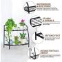 Indefree 2-Tier Metal Plant Stand - Multiple Flower Pot Holder Shelves Planter Rack Storage Organizer Display for Indoor Outdoor Garden Balcony Indefree 2-Tier Metal Plant Stand - Multiple Flower Pot Holder Shelves Planter Rack Storage Organizer Display for Indoor Outdoor Garden Balcony