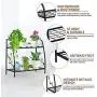 Indefree 2-Tier Metal Plant Stand - Multiple Flower Pot Holder Shelves Planter Rack Storage Organizer Display for Indoor Outdoor Garden Balcony