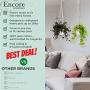 Encore Essentials Macrame Plant Hangers Indoor w/ 2 Hook Options - 37'' Ivory Hanging Planter Basket with Decorative Wood Beads - Hanging Flower Pot Holder - Boho Plant Hanger Style for Indoor/Outdoor