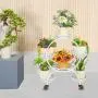 Plant Stand Pot Flower Rack with 4 Tiers and 6 Moving Potted Holders with Wheels (Plant Pots NOT Included) for Indoor or Outdoor use in The Patio, Garden, Living Room, Office, Plant Holder Plant Stand Pot Flower Rack with 4 Tiers and 6 Moving Potted Holders with Wheels (Plant Pots NOT Included) for Indoor or Outdoor use in The Patio, Garden, Living Room, Office, Plant Holder
