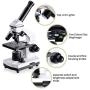 200X-2000X Microscopes for Kids Students Adults, with Microscope Slides Set, Phone Adapter, Powerful Biological Microscopes for School Laboratory Home Science Education