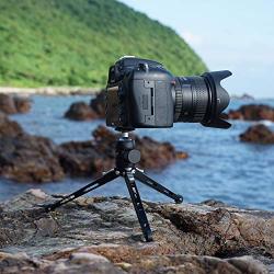 SIOTI Tripod Mini Ball Head Tripod Mount Head-Metal Ballhead 360° Pan 90° Tilt Tripod Mount with 1/4'' Screw for Digital Camera/Compact DSLR/Cell Phone/Monopod/Gopro/Light Stand/Light House