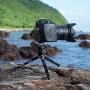 SIOTI Tripod Mini Ball Head Tripod Mount Head-Metal Ballhead 360° Pan 90° Tilt Tripod Mount with 1/4'' Screw for Digital Camera/Compact DSLR/Cell Phone/Monopod/Gopro/Light Stand/Light House