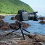 SIOTI Tripod Mini Ball Head Tripod Mount Head-Metal Ballhead 360° Pan 90° Tilt Tripod Mount with 1/4'' Screw for Digital Camera/Compact DSLR/Cell Phone/Monopod/Gopro/Light Stand/Light House SIOTI Tripod Mini Ball Head Tripod Mount Head-Metal Ballhead 360° Pan 90° Tilt Tripod Mount with 1/4'' Screw for Digital Camera/Compact DSLR/Cell Phone/Monopod/Gopro/Light Stand/Light House