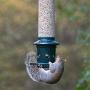 Squirrel Buster Plus Squirrel-proof Bird Feeder w/Cardinal Ring and 6 Feeding Ports, 5.1-pound Seed Capacity, Adjustable, Pole-mountable (POLE ADAPTOR SOLD SEPARATELY), Green