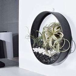 Round Hanging Wall Planters Metal Plant Containers Contemporary Morden Circle Iron Vase for Succulents or Herbs - Perfect Wall Decor for Air Plants Faux Plants Cacti and More, Black (Large)