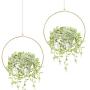 Mkono Boho Hanging Planter, Set of 2 Round Metal Plant Hanger with Plastic Plant Pot, Modern Wall and Ceiling Planter Mid Century Flower Pot Holder, Fits 6 Inch Planter (Plastic Pots Included), Gold