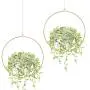 Mkono Boho Hanging Planter, Set of 2 Round Metal Plant Hanger with Plastic Plant Pot, Modern Wall and Ceiling Planter Mid Century Flower Pot Holder, Fits 6 Inch Planter (Plastic Pots Included), Gold