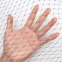 POYEE Bird Netting for Garden-6.5 x 50 Ft, 0.8 x 0.8 Inch Mesh, Nylon Garden Netting Protect Fruit and Vegetables from Birds and Animals, Green