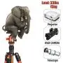 MACTREM Professional Camera Tripod with Phone Mount, 62'' DSLR Tripod for Travel, Super Lightweight and Reliable Stability, Ball Head Tripod Detachable Monopod with Carry Bag (Orange) MACTREM Professional Camera Tripod with Phone Mount, 62'' DSLR Tripod for Travel, Super Lightweight and Reliable Stability, Ball Head Tripod Detachable Monopod with Carry Bag (Orange)