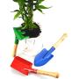 Annymall Garden Tools 3-Piece Set, 8'' Metal with Sturdy Wooden Handle Safe Gardening Tools Trowel, Rake & Shovel for Women, Men, Teens Beach Sandbox Toy