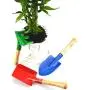 Annymall Garden Tools 3-Piece Set, 8'' Metal with Sturdy Wooden Handle Safe Gardening Tools Trowel, Rake & Shovel for Women, Men, Teens Beach Sandbox Toy Annymall Garden Tools 3-Piece Set, 8'' Metal with Sturdy Wooden Handle Safe Gardening Tools Trowel, Rake & Shovel for Women, Men, Teens Beach Sandbox Toy