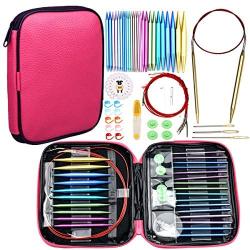 Looen 37pcs Aluminum Circular Knitting Needles Set with Ergonomic Handles,13 Size Interchangeable Crochet Needles with Storage Case for Small Project (Style 1)