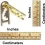 BePuzzled Keyhole Hanayama Cast Metal Brain Teaser Puzzle (Level 4) Puzzles For Kids & Adults Ages 12 & Up
