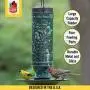 More Birds 28IN 281IN Feeder, 1.5 lb Seed Capacity, Brown More Birds 28IN 281IN Feeder, 1.5 lb Seed Capacity, Brown