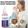 RustOut Instant Remover Spray 100ML - Rust Stain Remover - Easily Clean - for Metal Parts, Rollers, Door Hinges and Brake Parts, Anti Corrosion and Anti Rust, for RVs, Boats, Cars