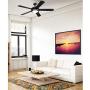 Westinghouse Lighting 7224200 Comet Indoor Ceiling Fan with Light, Matte Black Westinghouse Lighting 7224200 Comet Indoor Ceiling Fan with Light, Matte Black