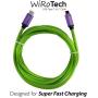 USB C Cable, WiRoTech Purple & Light Green USB-C to USB-C Fast Charging Cable (6 feet, Purple & Light Green)