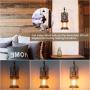 Rustic Wall Light, 2-in-1 Oil Rubbed Bronze Vintage Wall Light Fixtures Hardwired Plug in Industrial Glass Shade Lantern Lighting Retro Lamp Metal Wall Sconce for Home Bedroom Dining Room café(2 pack)