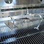 Titan Great Outdoors 35W Stainless Steel Rotisserie Grill Roaster w/Glass Hood 85 LB Capacity