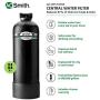 AO Smith Whole House Water Filter System - Carbon Filtration Reduces 97% of Chlorine - NSF Certified - 6yr, 600,000 Gl - AO-WH-Filter