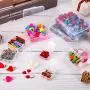 24 Packs Small Clear Plastic Beads Storage Containers Box with Hinged Lid for Storage of Small Items, Crafts, Jewelry, Hardware (2.12 x 2.12 x 0.79 Inches)
