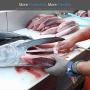 Cut Resistant Gloves Stainless Steel Wire Metal Mesh Butcher Safety Work Gloves for Cutting,Slicing Chopping and Peeling(Medium)