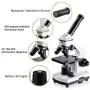 200X-2000X Microscopes for Kids Students Adults, with Microscope Slides Set, Phone Adapter, Powerful Biological Microscopes for School Laboratory Home Science Education 200X-2000X Microscopes for Kids Students Adults, with Microscope Slides Set, Phone Adapter, Powerful Biological Microscopes for School Laboratory Home Science Education