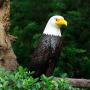 chisheen Bald Eagle Outdoor Metal Yard Art Statue and Sculpture for Garden Lawn Patio Living Room Decoration