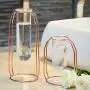 PuTwo Vases Set of 2 Metal Flower Vase Glass Vase Planter Terrariums Gold Vases Rose Gold Vase Plant Vase Glass Vases Cylinder Vase for Decor Valentines Day Gifts Girlfriend Valentines Gifts for Her PuTwo Vases Set of 2 Metal Flower Vase Glass Vase Planter Terrariums Gold Vases Rose Gold Vase Plant Vase Glass Vases Cylinder Vase for Decor Valentines Day Gifts Girlfriend Valentines Gifts for Her